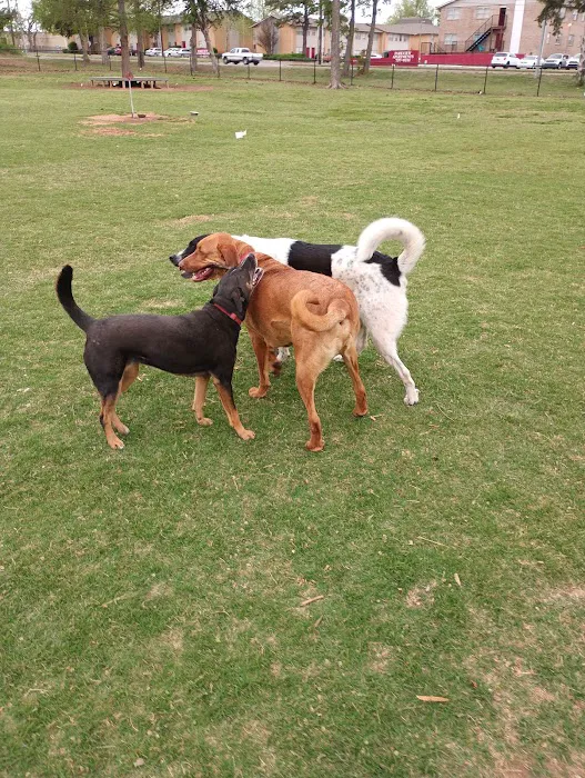 Fred Quinn Happy Tails Dog Park 6