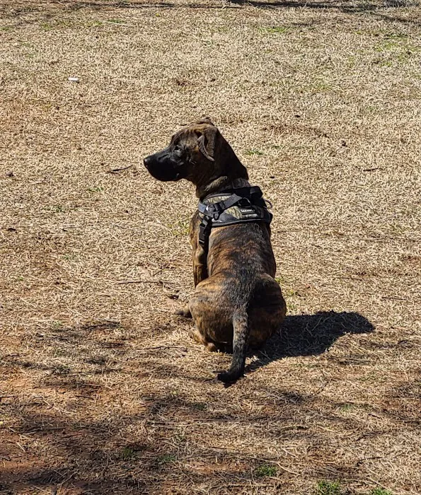 Fred Quinn Happy Tails Dog Park 5