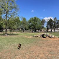 Fred Quinn Happy Tails Dog Park ico