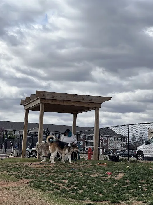 Duffys Dog Park 9