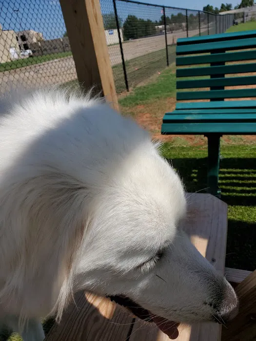 Duffys Dog Park 7