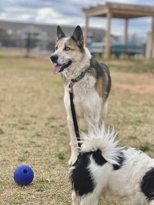 Duffys Dog Park 6