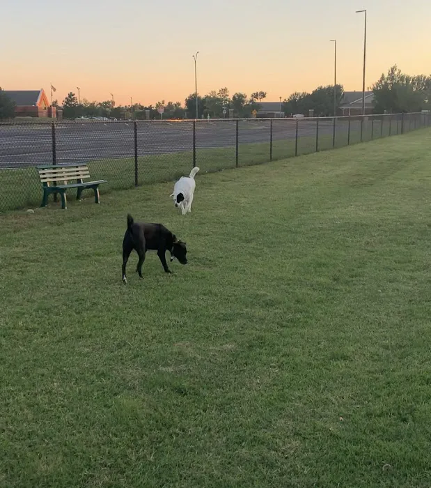 Duffys Dog Park 3