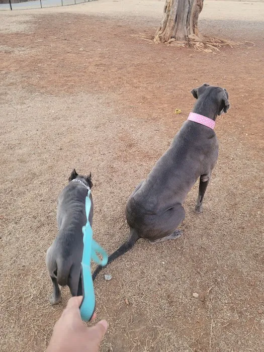 Happy Tails Dog Park 4