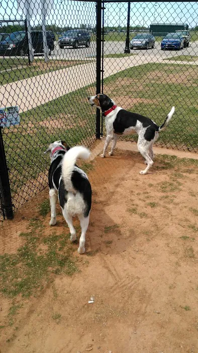Happy Tails Dog Park 2