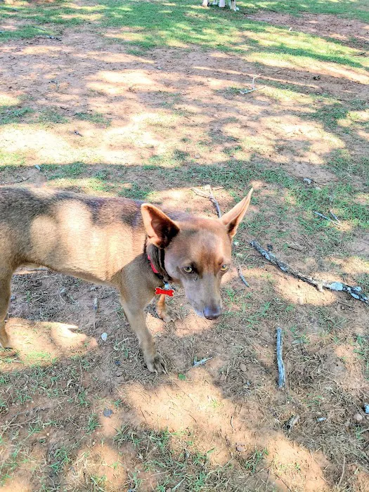 Happy Tails Dog Park 9