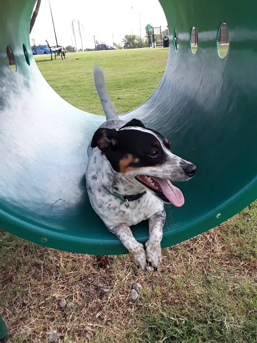 Happy Tails Dog Park 7