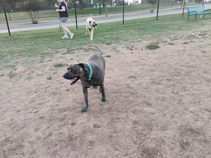 Happy Tails Dog Park 6