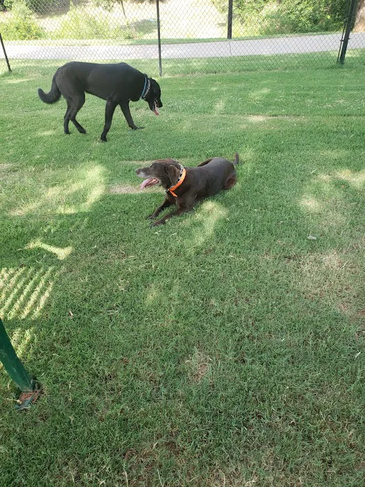 Happy Tails Dog Park 10