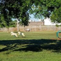 Edmond Dog Park ico