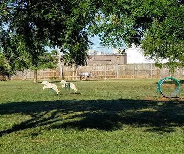 Edmond Dog Park