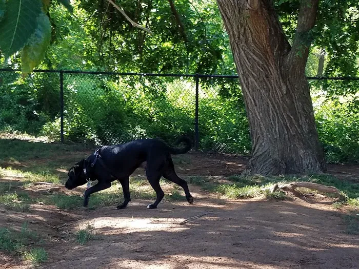 Edmond Dog Park 8