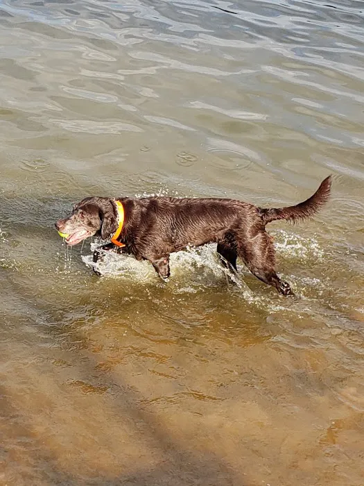 Edmond Dog Park 3