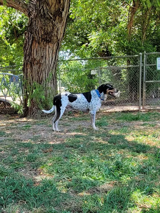 Pets and People Dog Park 7