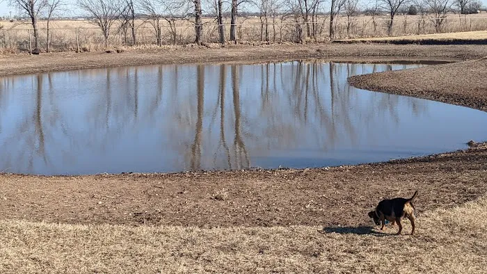 Pets and People Dog Park 3
