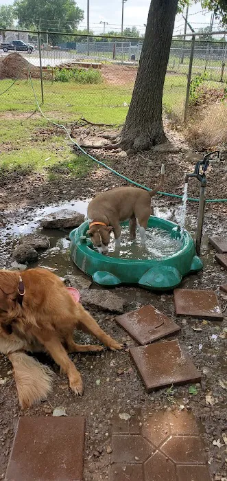 Mustang Dog Park 5