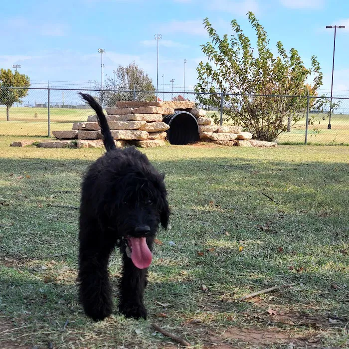 Mustang Dog Park 10