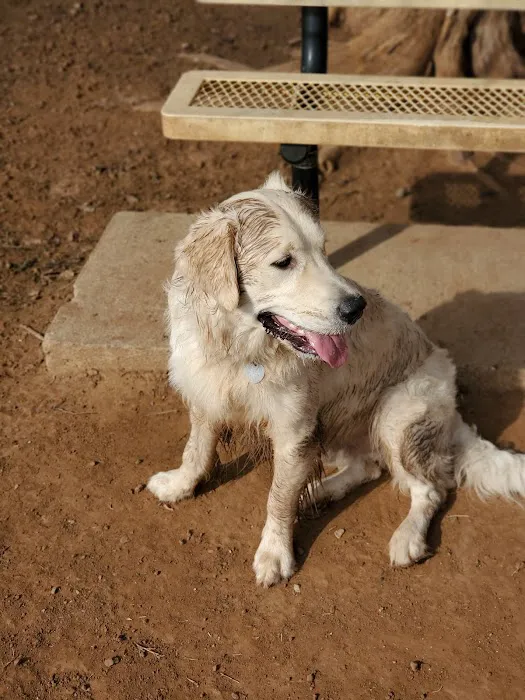 Norman Community Dog Park 7