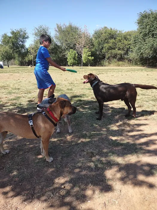 Norman Community Dog Park 10