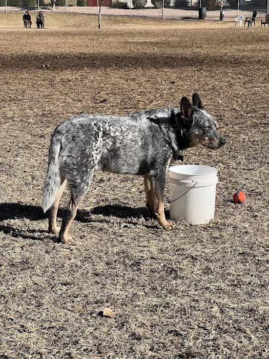Countryside Dog Park 2