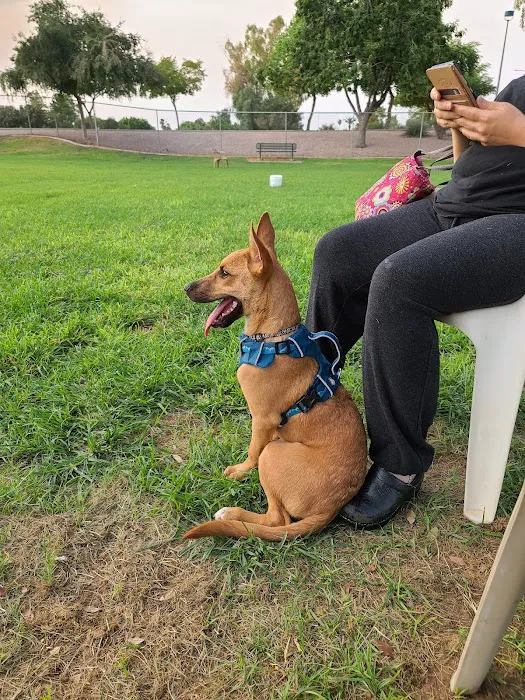 Countryside Dog Park 7