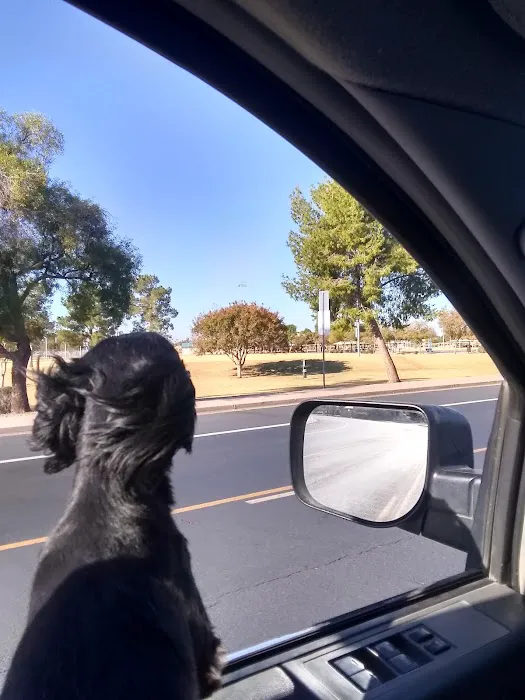 Countryside Dog Park 6