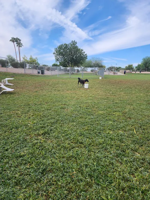 Countryside Dog Park 3