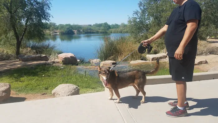 Countryside Dog Park 5