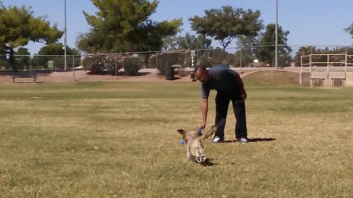Countryside Dog Park 1