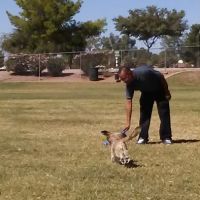 Countryside Dog Park ico