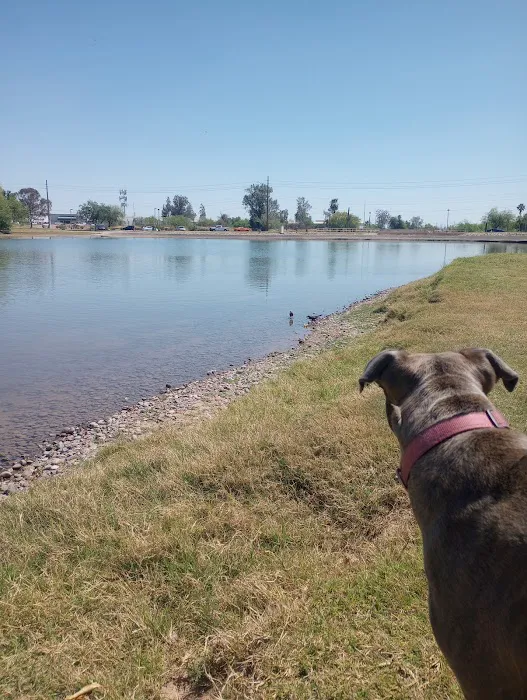 Vista del camino off-leash area 2