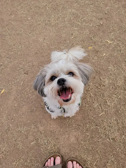 Vista del camino off-leash area 9