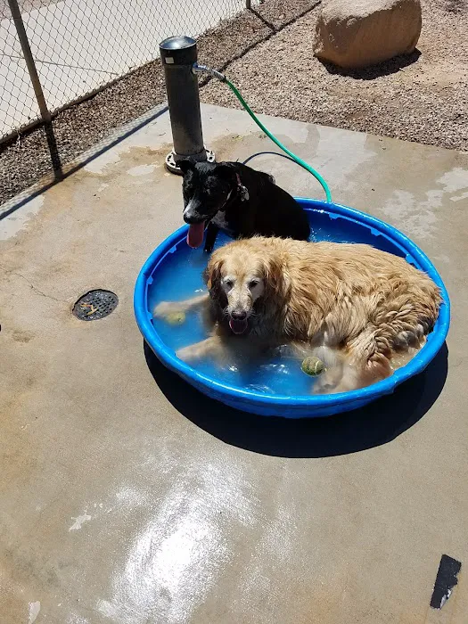 Shawnee Dog Park 6