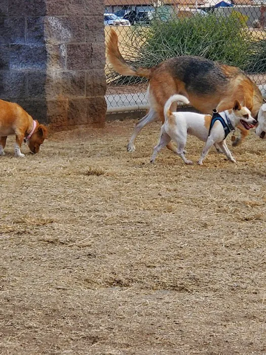 Shawnee Dog Park 7