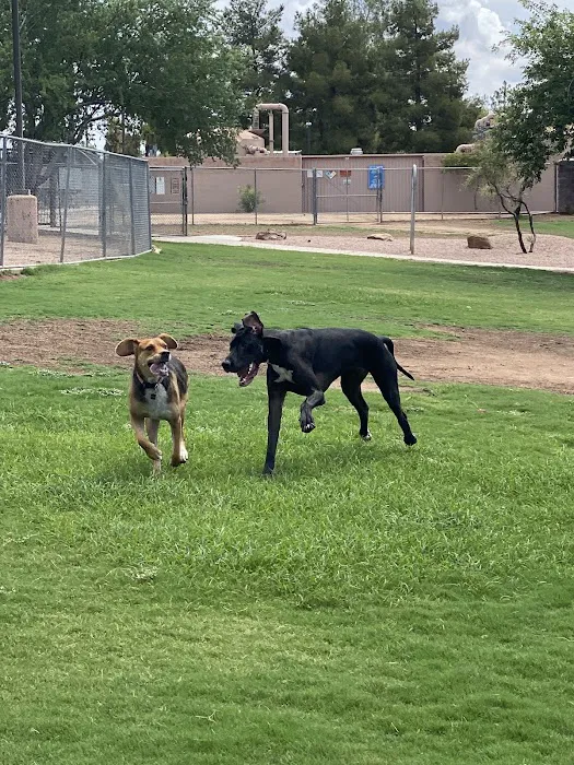 Shawnee Dog Park 8