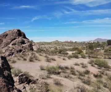 Papago Bark Park