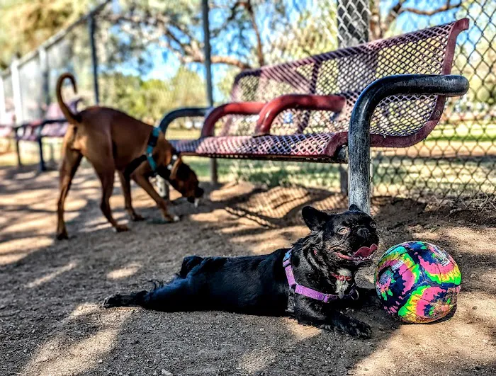 Papago Bark Park 3