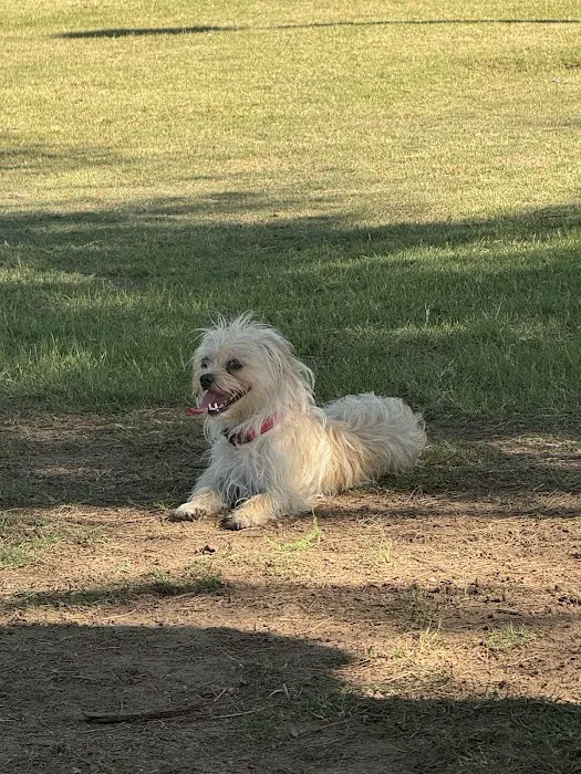 Papago Bark Park 2