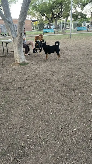 Mitchell Dog Park 4