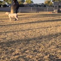 Quail Run Park Off Leash Dog Area ico