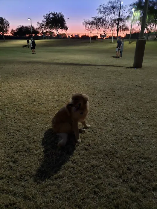 Quail Run Park Off Leash Dog Area 2