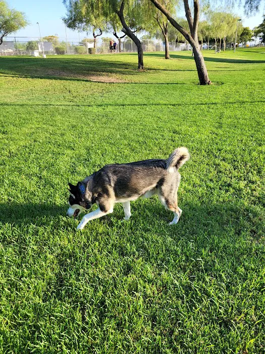 Quail Run Park Off Leash Dog Area 4