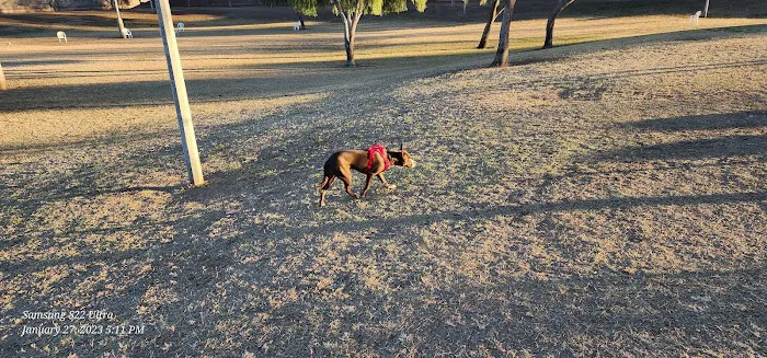 Quail Run Park Off Leash Dog Area 5