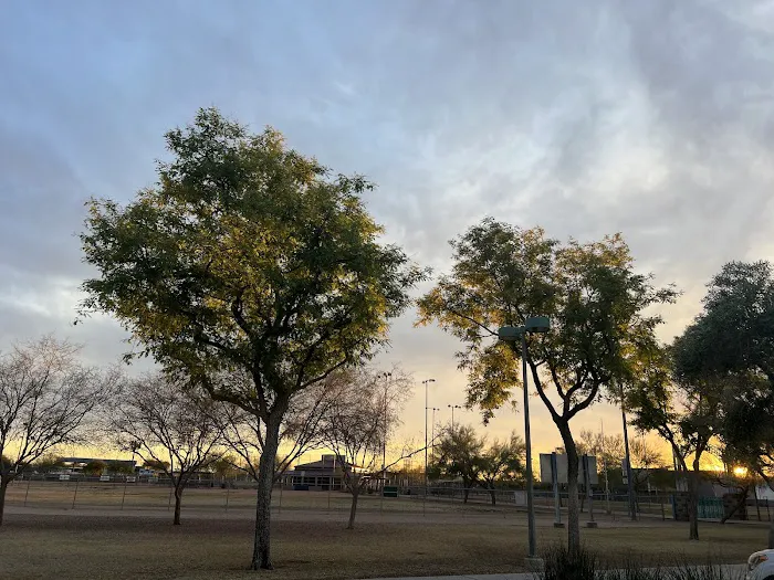 Quail Run Park Off Leash Dog Area 3
