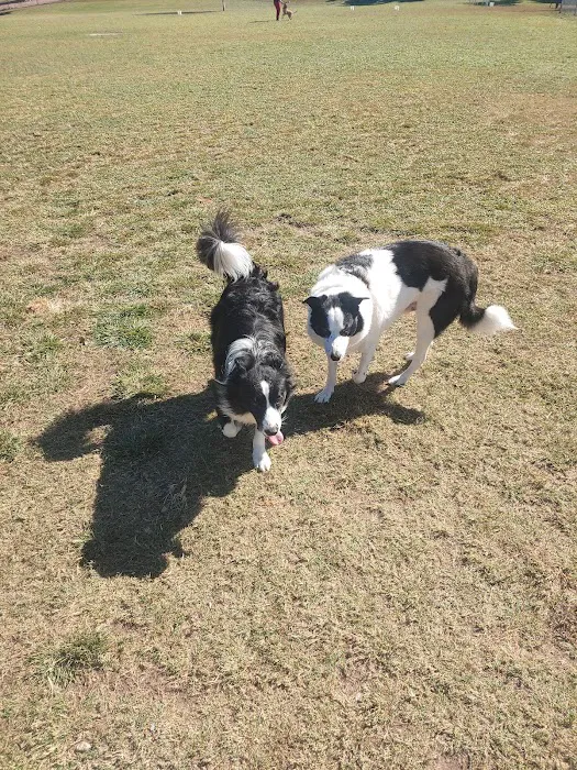 Quail Run Park Off Leash Dog Area 10