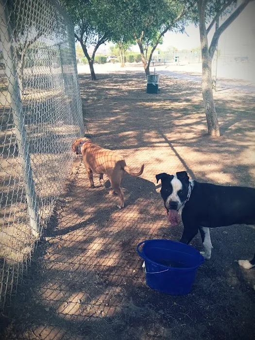 Quail Run Park Off Leash Dog Area 9