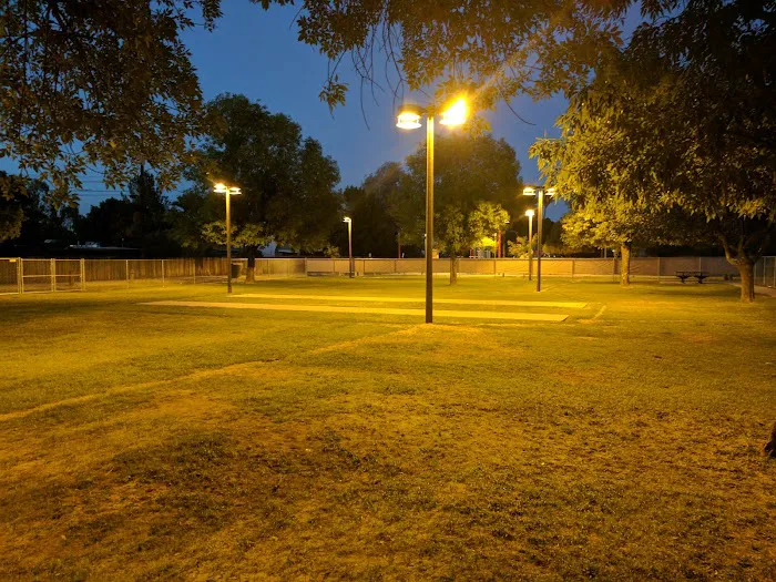Clark Park Dog Park 9