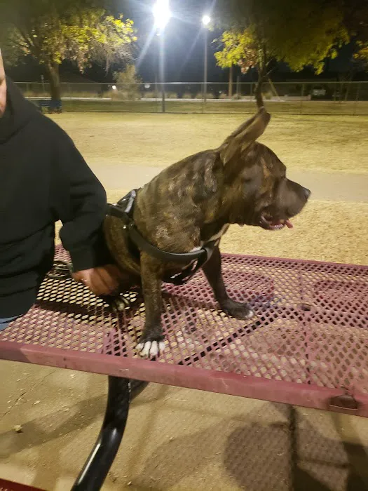 Clark Park Dog Park 3