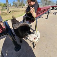 Clark Park Dog Park ico