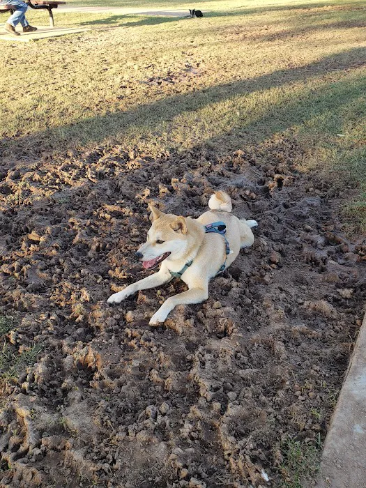 Clark Park Dog Park 10